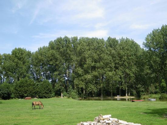 20. Grand espace de verdure avec animaux